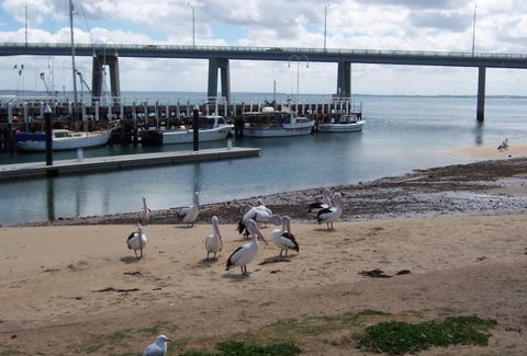 BIG4 Phillip Island Caravan Park - Lismore Accommodation 5
