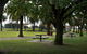 Comfort Inn May Park - thumb 7