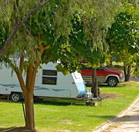 A Wangralea Caravan Park - Lismore Accommodation