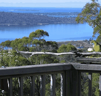 Bed in the Treetops - Lismore Accommodation