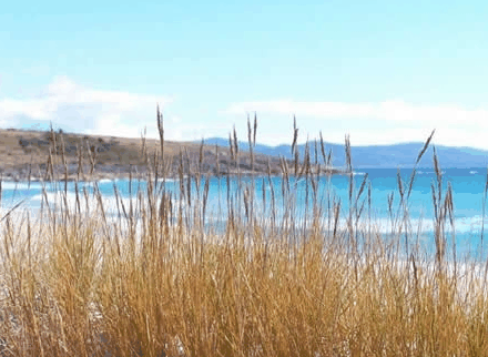 Four Mile Beach TAS Lismore Accommodation