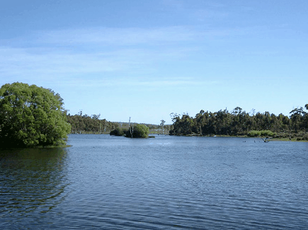 Currawong Lakes - Lismore Accommodation