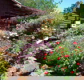 Chestnut Brook Cottage - Lismore Accommodation