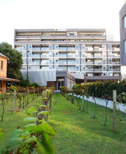 Honeysuckle Executive Apartments - Lismore Accommodation 0