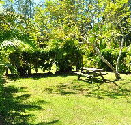 Wooli Caravan Park - Lismore Accommodation