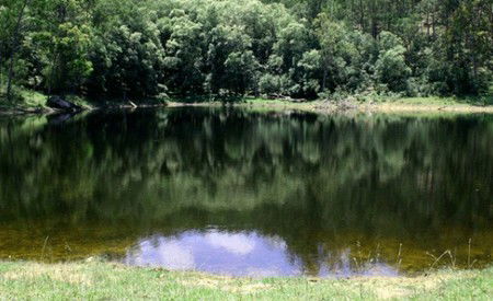 Mystwood Retreats - Lismore Accommodation 5