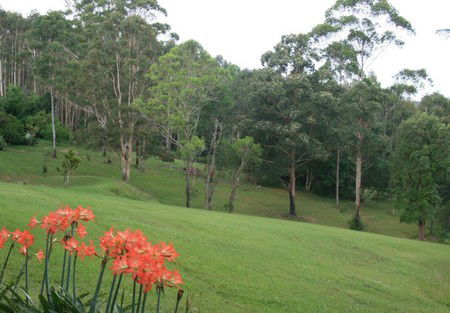 Woodridge Park Country Retreat - Lismore Accommodation 3