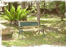 Lorikeet Cottage - Lismore Accommodation 3