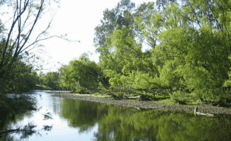 Ribbonwood Cottages - Lismore Accommodation