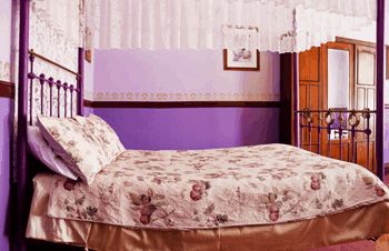 Stannum House - Lismore Accommodation 1
