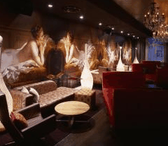 Crown Hotel Surry Hills - Lismore Accommodation 1