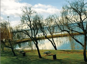 Lake Mulwala Holiday Park - Lismore Accommodation 2