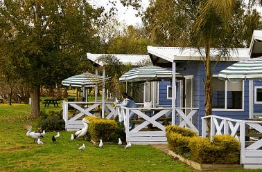 Lake Mulwala Holiday Park - Lismore Accommodation 3