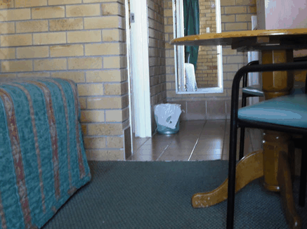 Dragon  Phoenix Motel - Lismore Accommodation