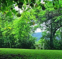 Misty Mountain Retreat - Lismore Accommodation
