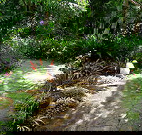 Coco's Country Cottage - Lismore Accommodation