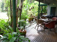 Byron Rainforest Villa - Lismore Accommodation 1