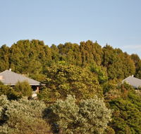 Tallaringa Views - Lismore Accommodation