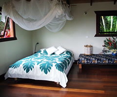 Tallowood Retreat - Lismore Accommodation 0