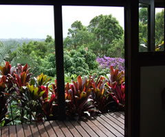 Tallowood Retreat - Lismore Accommodation 1