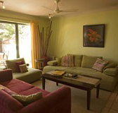 Tigerlilys - Lismore Accommodation