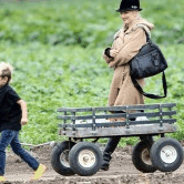 Perth City Farm Organic Markets - Lismore Accommodation