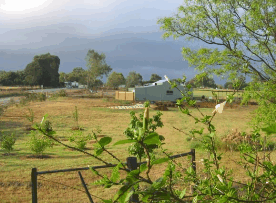 The House Of Honey - Lismore Accommodation 2