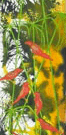 Jahroc Mill Gallery - Lismore Accommodation 3