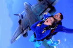 Simply Skydive - Lismore Accommodation 2