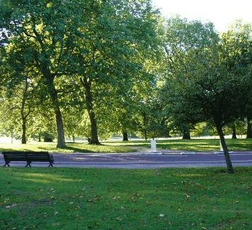 Beth Boyd Park - Lismore Accommodation