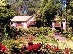 Delvin Health Retreat - Lismore Accommodation 0