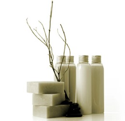 Oasis Day Spa - Lismore Accommodation 0