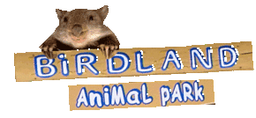 Birdland Animal Park - Lismore Accommodation 0