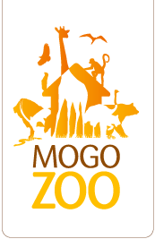 Mogo NSW Lismore Accommodation