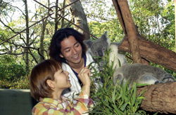 Taronga Zoo - Lismore Accommodation 2