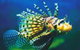 Underwater World - thumb 0
