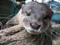 Underwater World - Lismore Accommodation 1