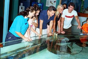 Underwater World - Lismore Accommodation 3