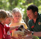 Cleland Wildlife Park - Lismore Accommodation