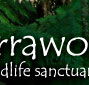 Warrawong Wildlife Park - Lismore Accommodation