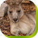 Calmsley Hill City Farm - Lismore Accommodation 0
