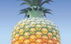 The Big Pineapple - thumb 0