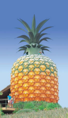 The Big Pineapple - Lismore Accommodation 0