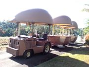 The Big Pineapple - Lismore Accommodation 2