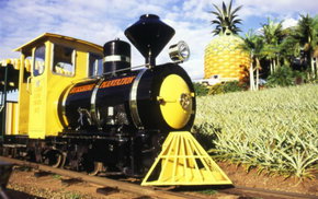 The Big Pineapple - Lismore Accommodation 3