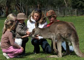 Gumbuya Park - Lismore Accommodation 1