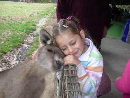 Gumbuya Park - Lismore Accommodation 3