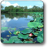 Kakadu National Park - Lismore Accommodation 3
