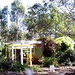Koala Conservation Centre - Lismore Accommodation 1
