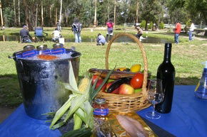 Buxton Trout And Salmon Farm - Lismore Accommodation 2